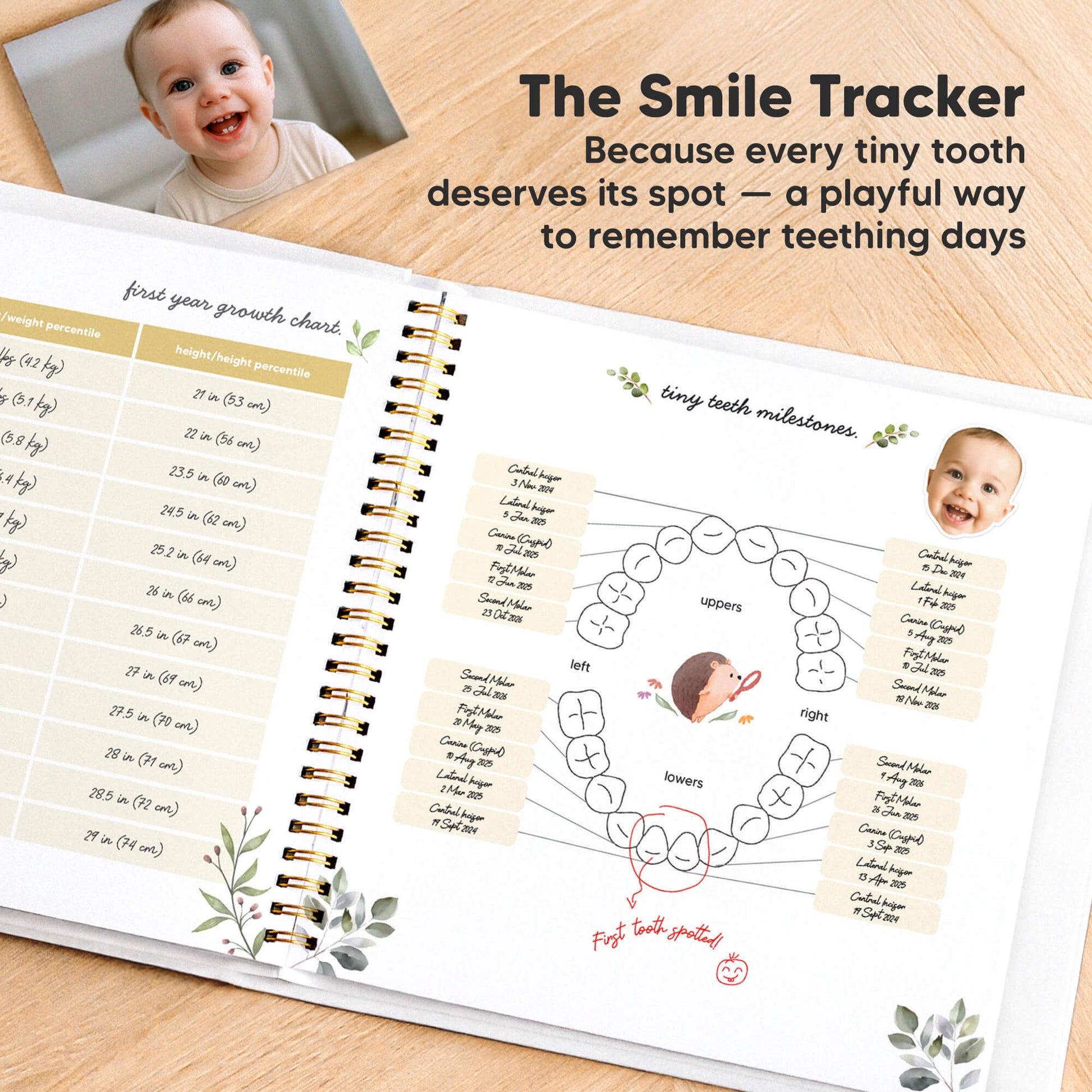 The Smile Tracker
Because every tiny tooth deserves its spot — a playful way to remember teething days
 30514241011898