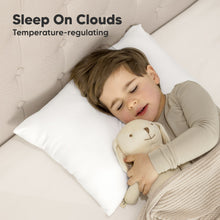 Load image into Gallery viewer, Cuddly Toddler Pillow with Pillowcase
