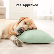 Load image into Gallery viewer, Cuddly Toddler Pillow with Pillowcase (Sage)
