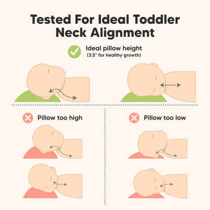 Tested for Ideal Toddler Neck Alignment, Ideal pillow height 3.5" 30988544147642