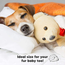 Load image into Gallery viewer, Toddler Pillow with Pillowcase (Soft White)
