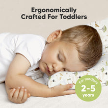 Load image into Gallery viewer, Toddler Pillow with Pillowcase (Grasslands)

