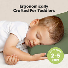Load image into Gallery viewer, Toddler Pillow with Pillowcase (Jungle Green)
