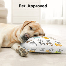 Load image into Gallery viewer, 2-Pack Pillow (Dinoworld &amp; KeaSafari)
