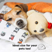 Load image into Gallery viewer, Toddler Pillow with Pillowcase (Kea123)
