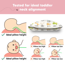 Load image into Gallery viewer, Tested for ideal toddler neck alignment
Ideal pillow height

Not Pillow too high
Not  Pillow too low
