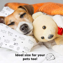 Load image into Gallery viewer, Toddler Pillow with Pillowcase (KeaFriends)
