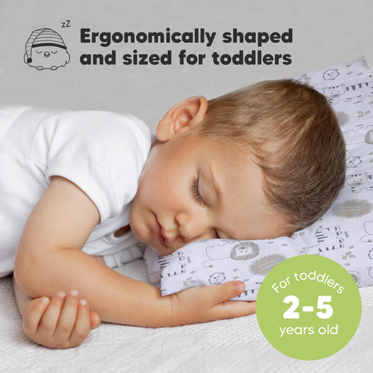 Toddler Pillow with Pillowcase