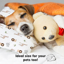 Load image into Gallery viewer, Toddler Pillow with Pillowcase (The Wild)
