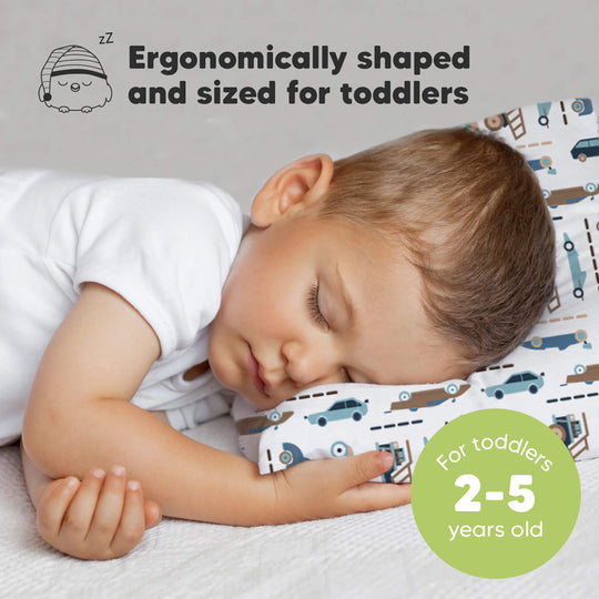 Toddler Pillow with Pillowcase (Vroom)