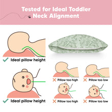 Load image into Gallery viewer, Toddler Pillow with Pillowcase (DinoDood)
