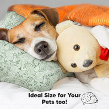 Load image into Gallery viewer, Toddler Pillow with Pillowcase (DinoDood)
