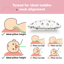 Load image into Gallery viewer, Toddler Pillow with Pillowcase (Marine)
