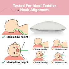 Load image into Gallery viewer, Toddler Pillow with Pillowcase (Clay)
