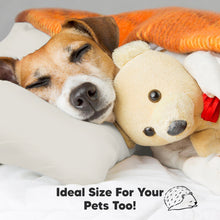 Load image into Gallery viewer, Toddler Pillow with Pillowcase (Clay)
