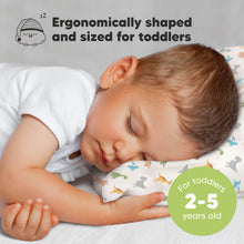 Load image into Gallery viewer, Toddler Pillow with Pillowcase (Roarsome)
