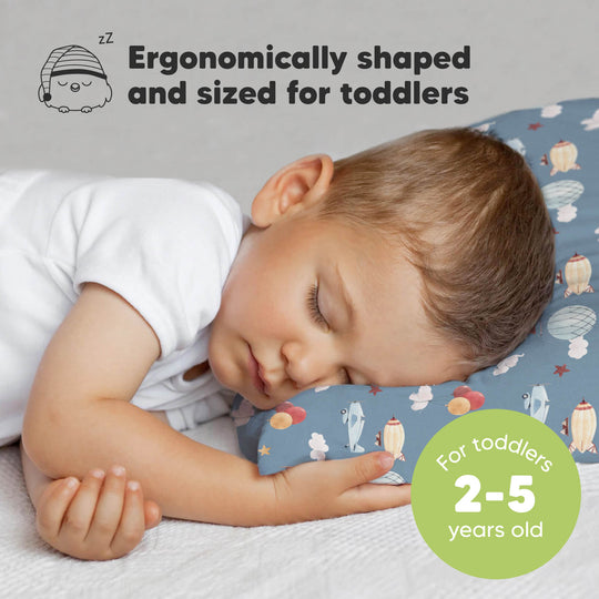 Toddler Pillow with Pillowcase (Up & Away)