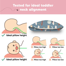 Load image into Gallery viewer, Toddler Pillow with Pillowcase (Up &amp; Away)
