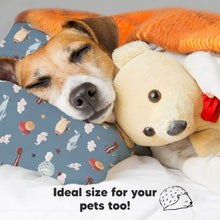 Load image into Gallery viewer, Toddler Pillow with Pillowcase (Up &amp; Away)
