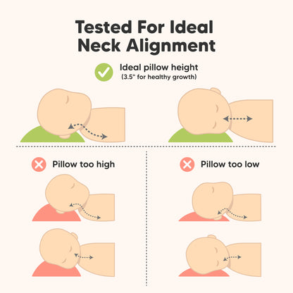 Tested For Ideal Neck Alignment - Ideal pillow height (3.5" for healthy growth) 31984523739322