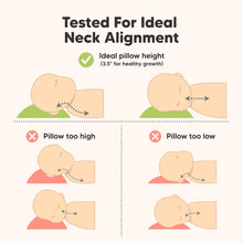 Load image into Gallery viewer, Tested For Ideal Neck Alignment - Ideal pillow height (3.5" for healthy growth)
