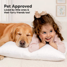 Load image into Gallery viewer, Pet Approved - Loved by little ones &amp; their furry friends too!
