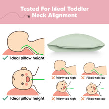 Load image into Gallery viewer, Jumbo Toddler Pillow with Pillowcase (Sage)
