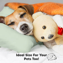 Load image into Gallery viewer, Jumbo Toddler Pillow with Pillowcase (Sage)
