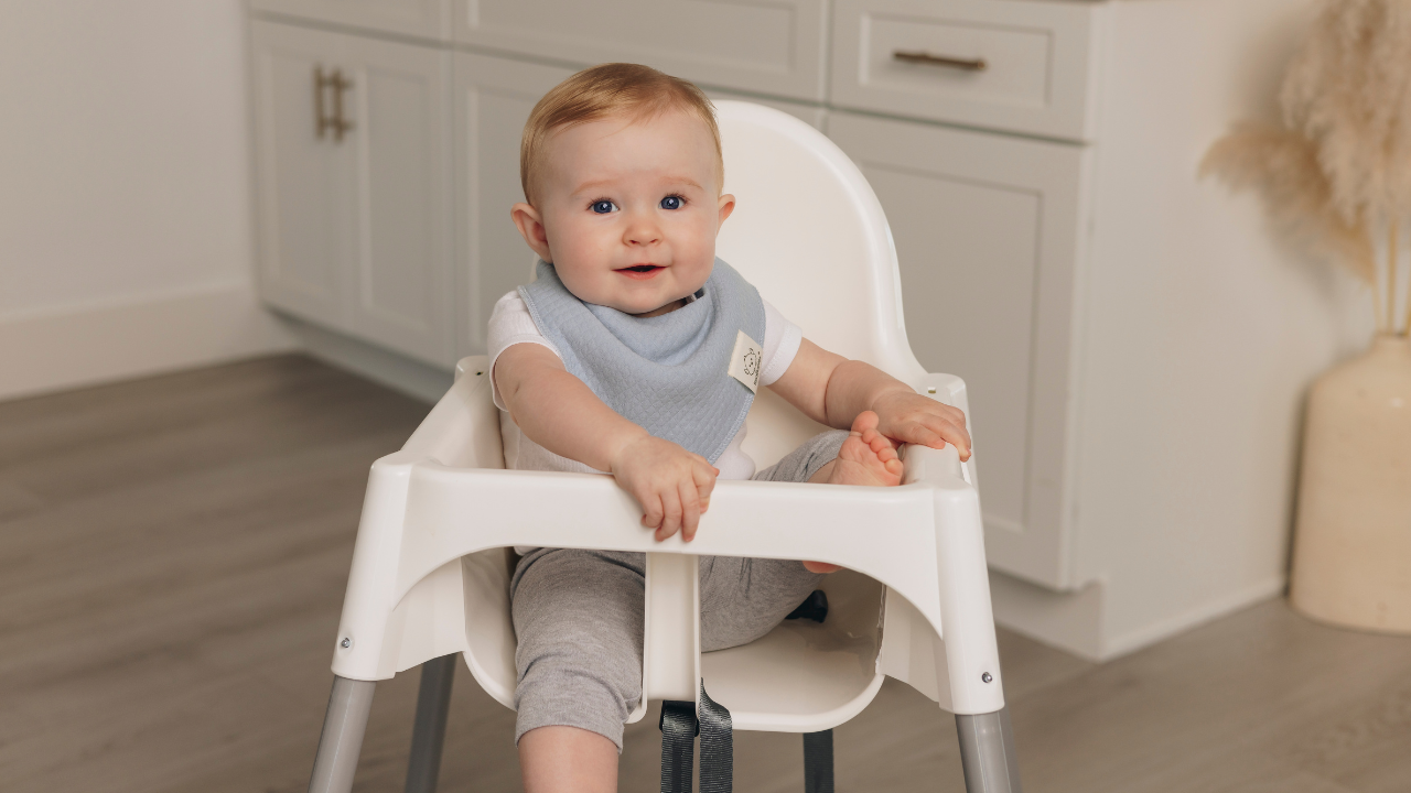 8-Pack Quin Bandana Bibs 29485579632826
