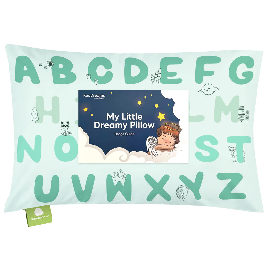 Toddler Pillow with Pillowcase