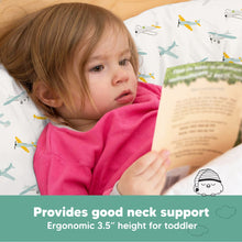 Load image into Gallery viewer, Jumbo Toddler Pillow with Pillowcase (Plane)
