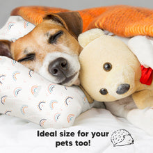 Load image into Gallery viewer, 2-Pack Pillow (Jolly Rainbow &amp; KeaSafari)
